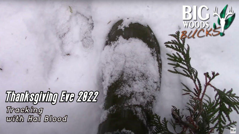VIDEO: Tracking with Hal Blood: Day Before Thanksgiving 2022 - Big Woods Bucks