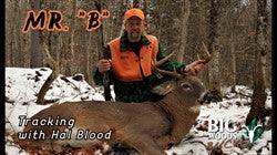 VIDEO: Mr. "B" - Tracking with Hal Blood - Big Woods Bucks