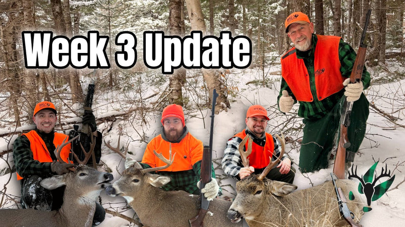 Deer Season Week 3 Update | Big Woods Bucks Podcast Ep 183