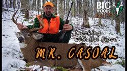 VIDEO: Mr. Casual - Tracking with Hal Blood - Big Woods Bucks