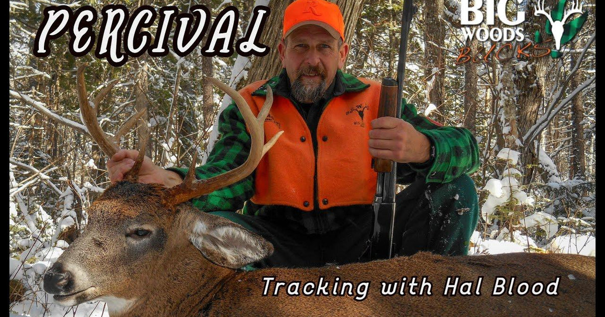 VIDEO: Percival - Tracking with Hal Blood – Big Woods Bucks