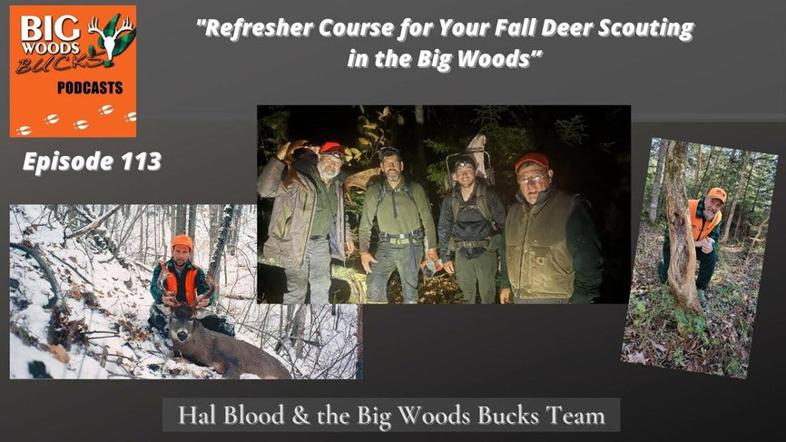 113 | “Refresher Course for Your Fall Deer Scouting in the Big Woods” - Big Woods Bucks