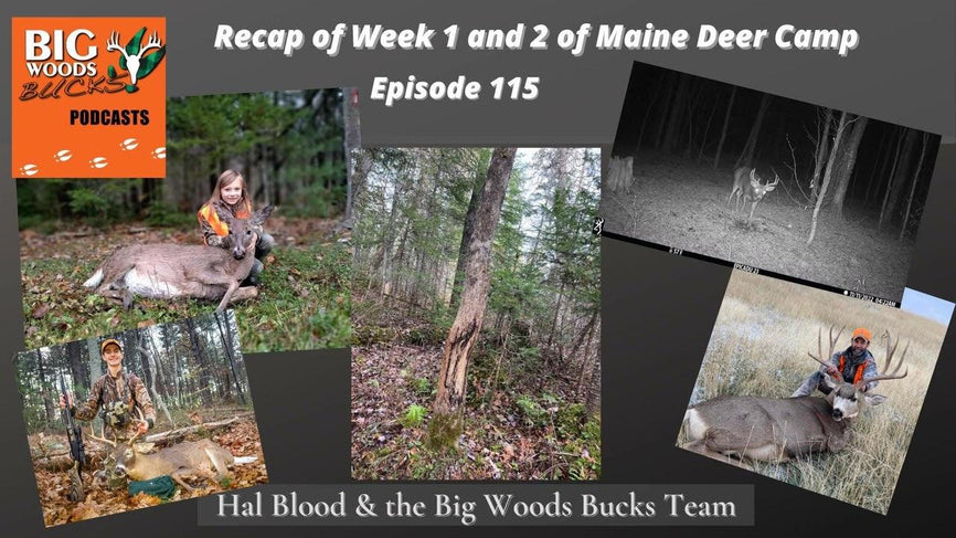 115 | “Recap of Week 1&2 Maine Deer Camp” - Big Woods Bucks