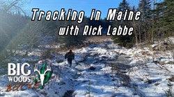 VIDEO: A Day on the Track with Rick Labbe (2021) - Big Woods Bucks