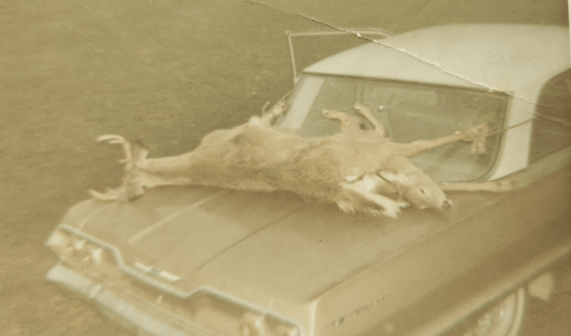 FIRST ADIRONDACK BUCK: A Big Buck in the Adirondack Mountains in 1958 - Big Woods Bucks