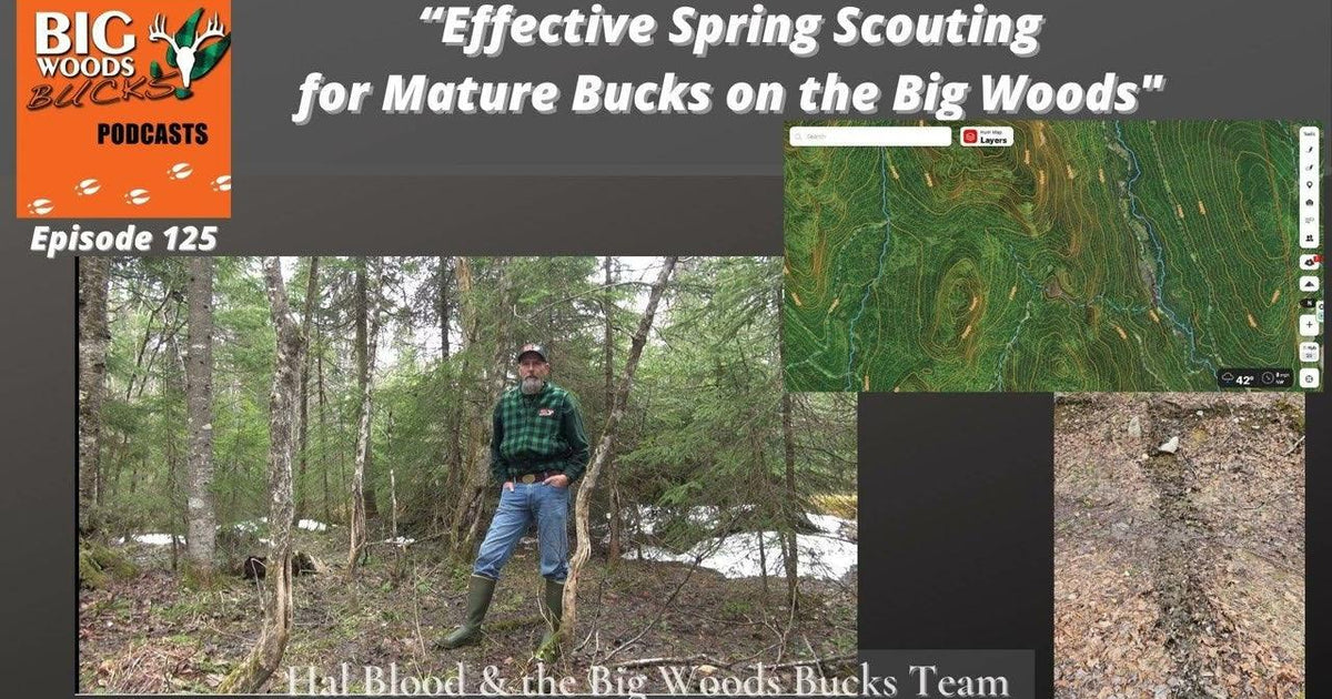 125| “Effective Spring Scouting for Mature Bucks” – Big Woods Bucks