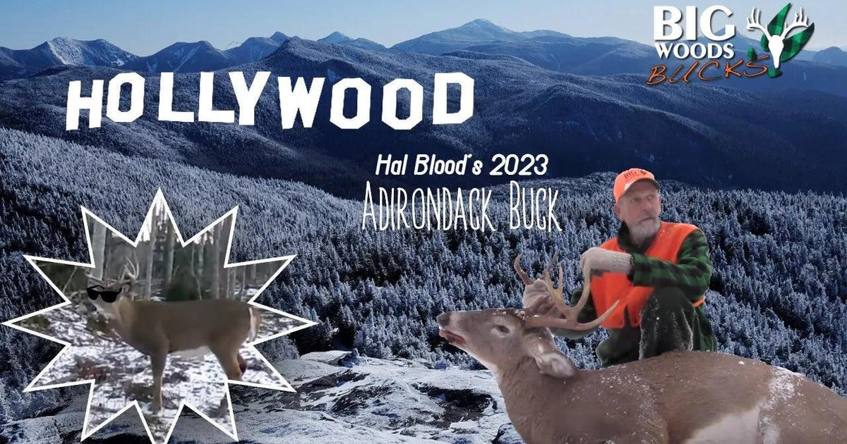 VIDEO: Hal Blood's 2023 Adirondack Buck 