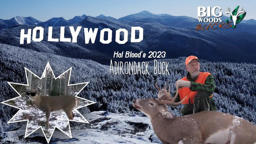 VIDEO: Hal Blood's 2023 Adirondack Buck "Hollywood," Tracked Down on Snow - Big Woods Bucks