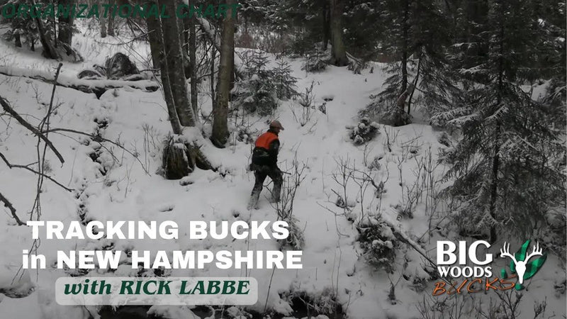 Tracking Bucks in New Hampshire with Rick Labbe | BIG WOODS BUCKS - Big Woods Bucks