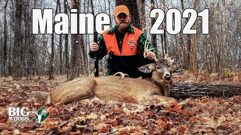 VIDEO: “IT WASN’T PRETTY!” Persistence pays off | Brad Willey’s Maine 2021 Big Woods Buck - Big Woods Bucks