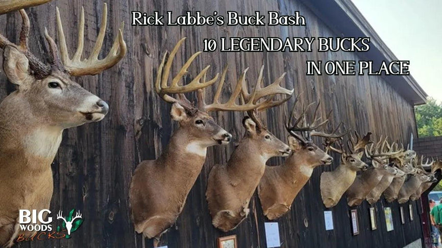 VIDEO: Rick Labbe's BUCK BASH | 10 Legendary Bucks in One Place - Big Woods Bucks