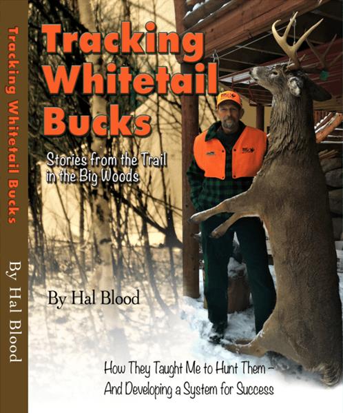 Tracking Whitetail Bucks Stories from the Trail in the Big Woods - Big Woods Bucks