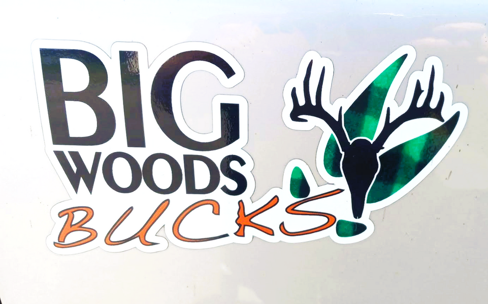 BWB Large Decal